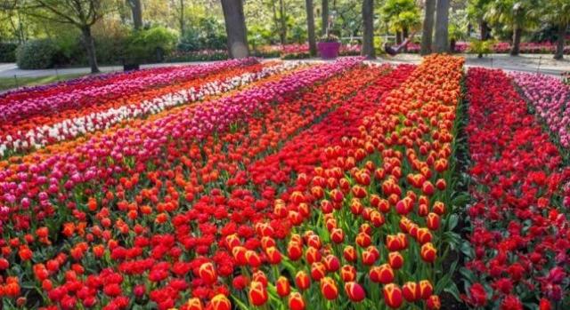 Pazar színekkel és balzsamos illatokkal csábít a világ 10 legszebb kertje