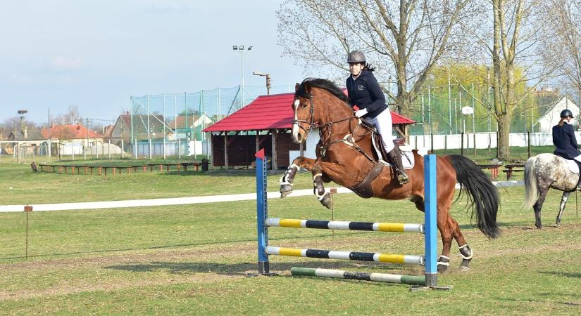 Második alkalommal rendeztek szabadidős lovasversenyt Jászkarajenőn - galériával