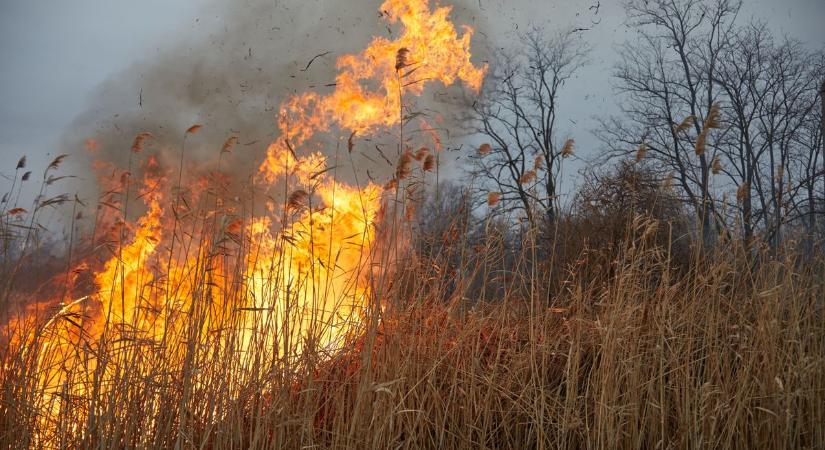 Szabadtéri tüzek: egyre több helyen gyullad ki a tarló, a nádas