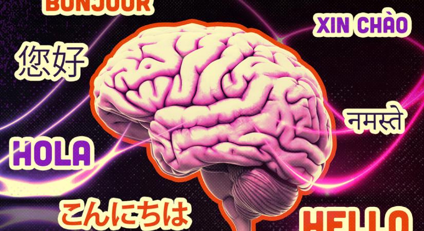 A poliglott emberek agyát alig aktiválják az anyanyelvükön hallgatott szövegek