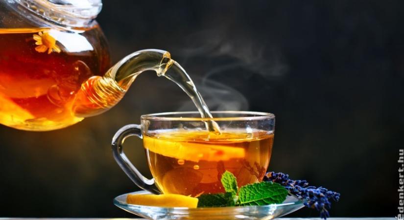 Tea: az időtálló elixír