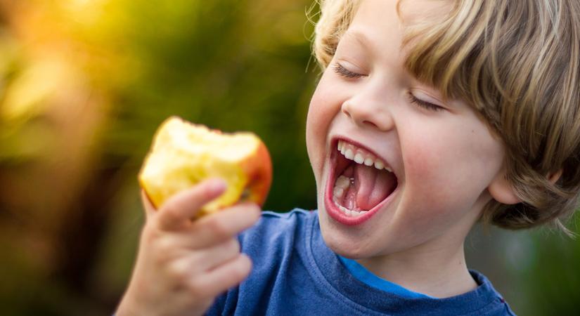 9 dolog az egészségről, amit minden gyereknek tudnia kéne a dietetikus anyuka szerint