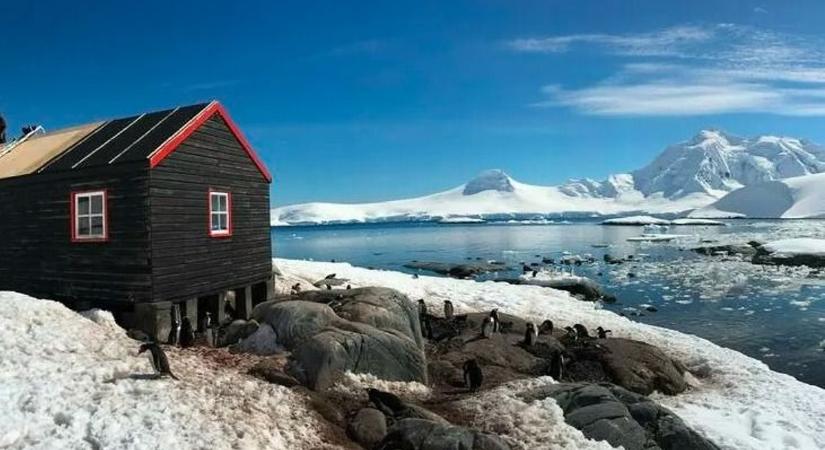 Postást keresnek az Antarktiszra - videó