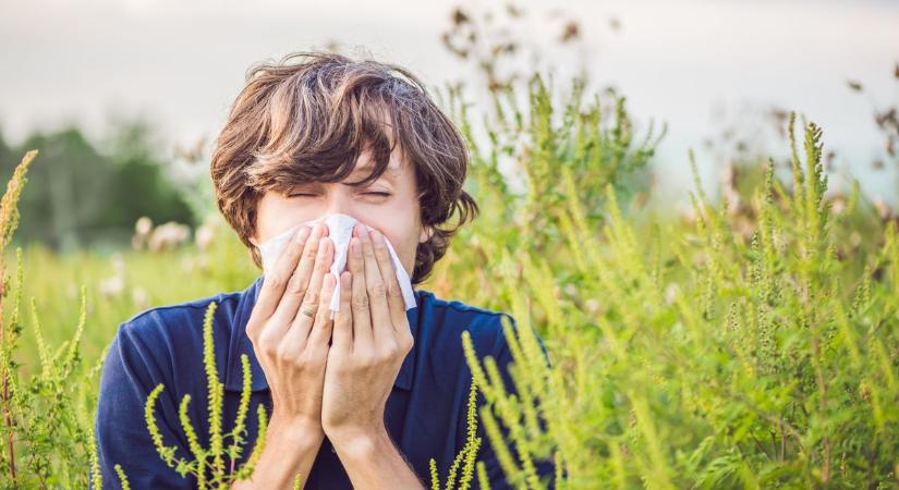 Berobbant az allergia az erős szél miatt