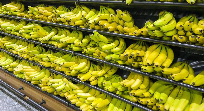 Fertőzhet a banán, könnyes búcsút vehetünk a gyümölcstől