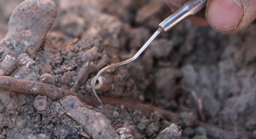 11 ezer éves piercingeket találtak - itt a bizonyíték, hogy már őseink is használtak testékszereket