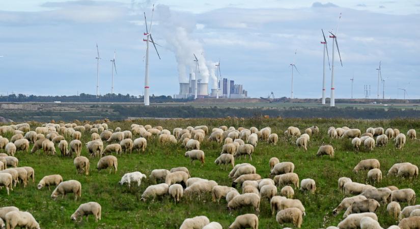 Itt a legújabb nemzeti konzultáció: 13 kérdés zöld- és atomenergiáról
