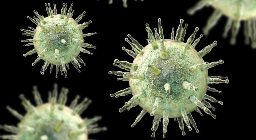 Megtalálták az egyik leggyakoribb vírus gyenge pontjait