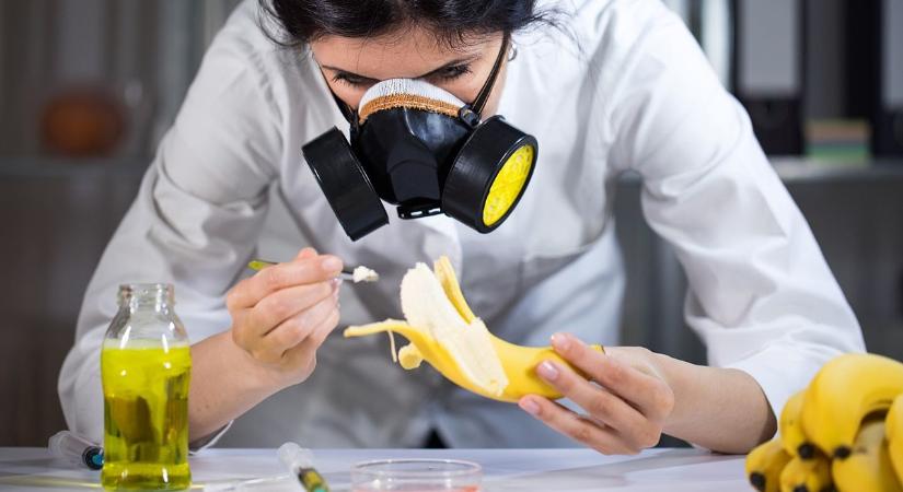 Génmódosított banánok áraszthatják el a piacot