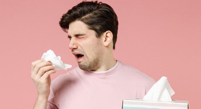 Rossz hír az allergiásoknak, erősödik a pollenterhelés Nógrádban is