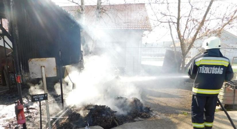 Tűzifa füstölt egy tárolóban Lentiben