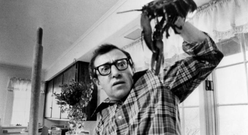 5 film, amelyet Woody Allen inspirált