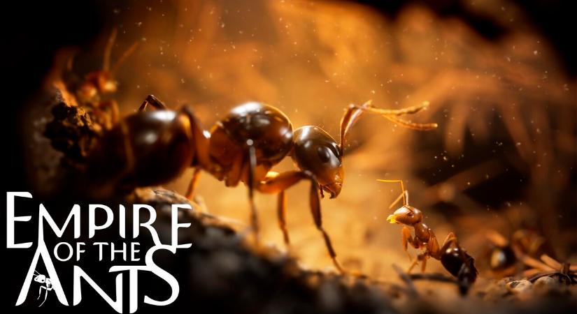Támadnak a hangyák az Empire of the Ants új előzetesében