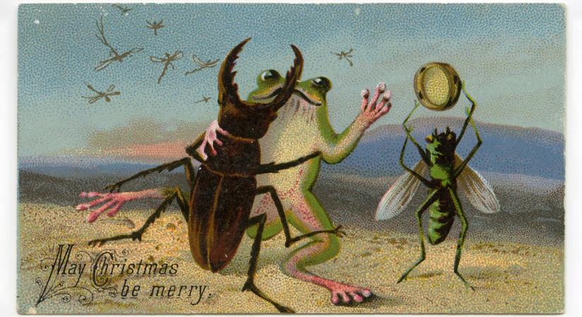 Ékszer élő bogarakból, partikellékként használt múmia és fogmosás mézzel – Bizarr szokások a 19. századból