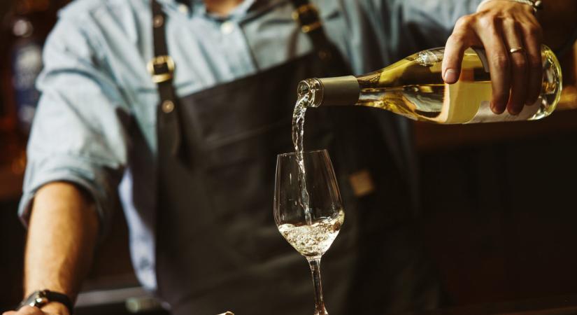 Rekordszámú bor érkezett a badacsonyi bírálatra