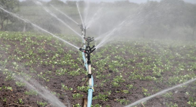 Országos vízigényfelmérést végez az agrárkamara falugazdász-hálózata márciusban