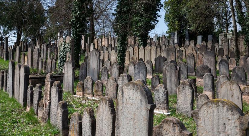 Robert Downey Jr. ősei a tatai zsidó temetőben nyugszanak