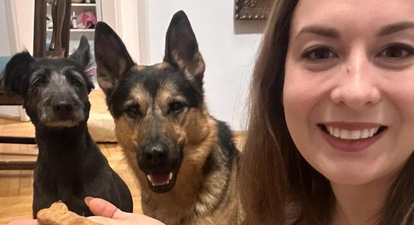 Mentett kutyákkal lepte meg szerelme Cseh Katalint: 4 év után kelt egybe párjával a Momentum EP-képviselője – fotók