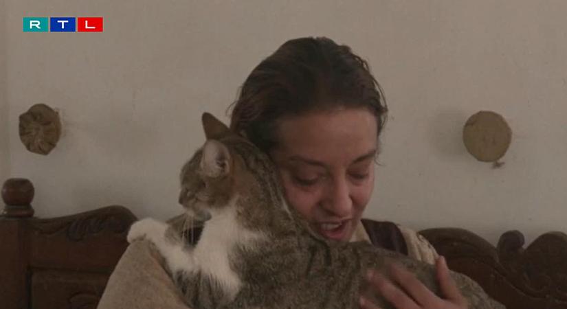 400 macskával él együtt egy tunéziai nő