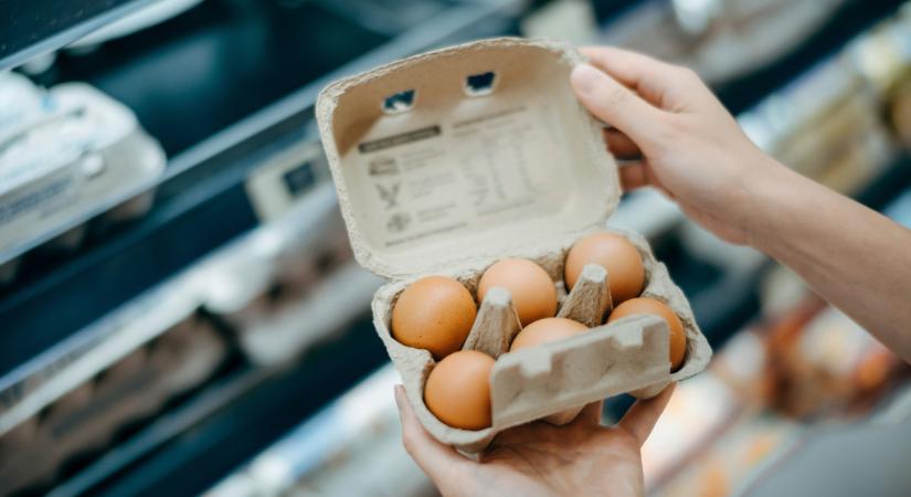 Bizonytalan helyzetben a tojástermelők: köszönőviszonyban sincs a tojás ára a valósággal