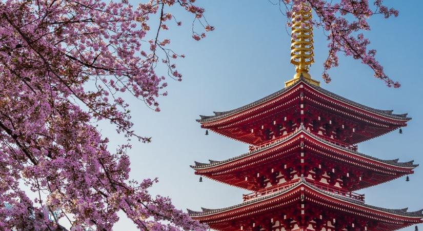 Hagyd magad elvarázsolni a mesés Japánban! – Hajózz együtt a Világjáróval!