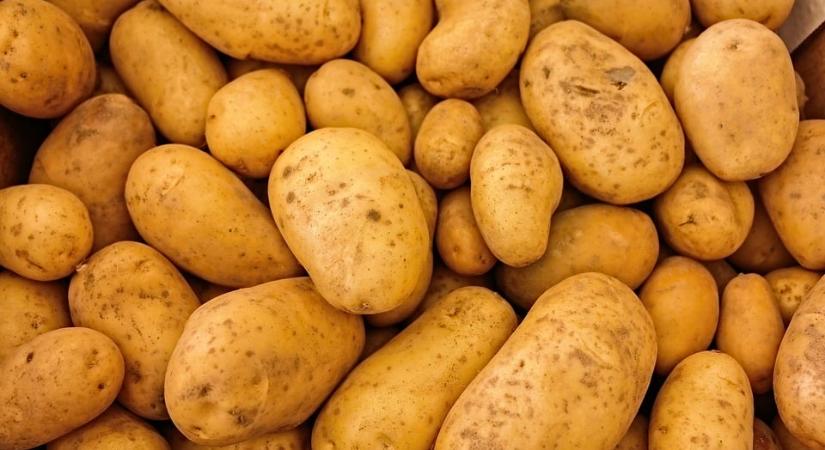 Megölt egy családot a zsákban rothadó krumpli