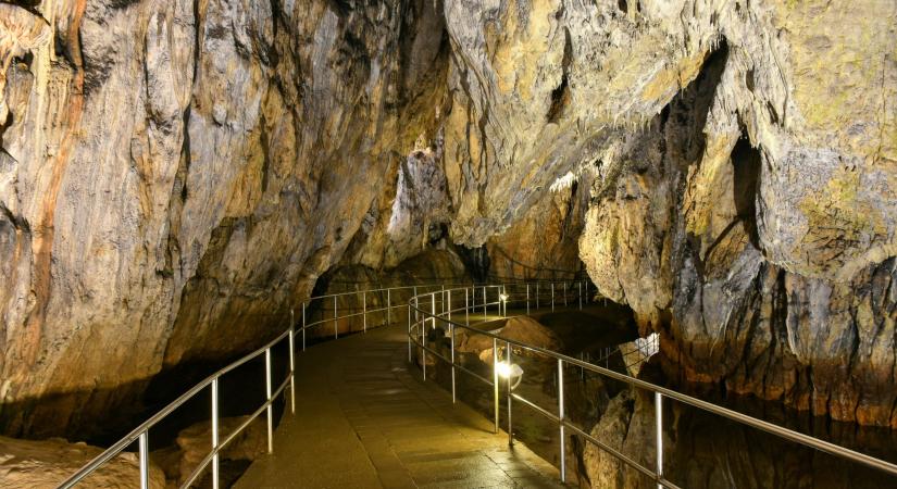 Ismerje meg a barlangok titokzatos élővilágát a Barlangok Hónapján