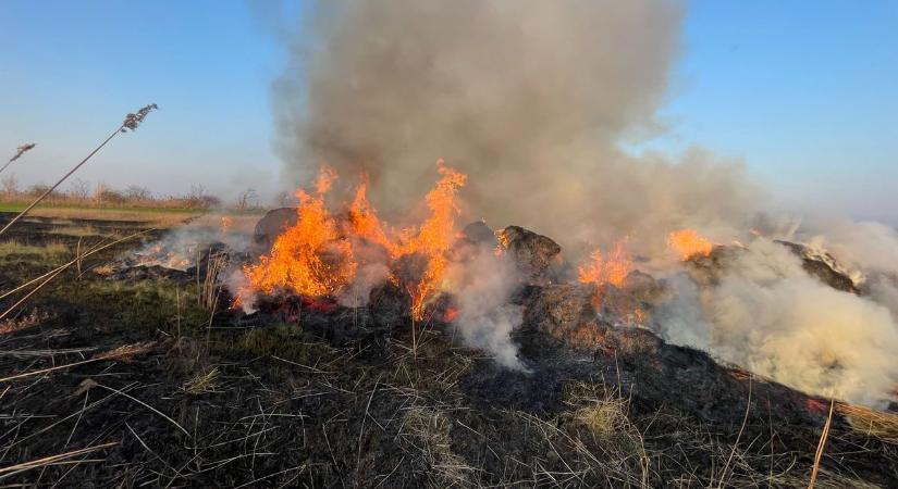 Tűz volt Hajdúszovát külterületén – öt hektáron égett az avar