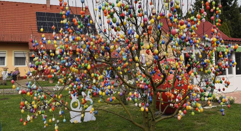 6000 tojás ékesíti a nagyatádi húsvét fát!