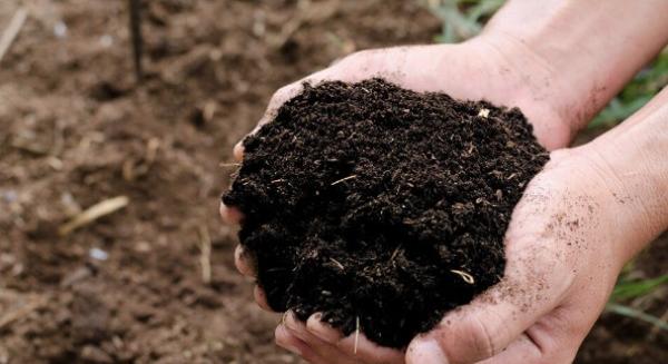 Kiemelt feladat a hazai talajok termőképességének megőrzése