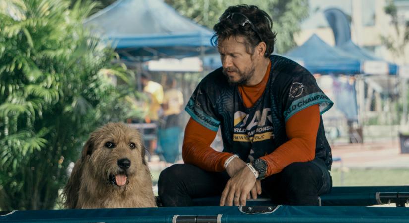 „A gyerekeim haza akarták vinni a filmbéli kutyámat” – Mark Wahlberggel beszélgettünk családról, öregedésről, kitartásról és könnyekről