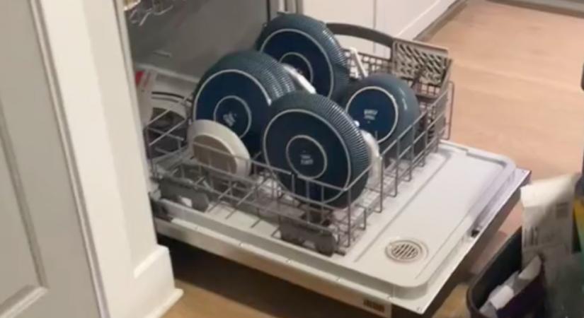 Zajt hallott a nő a konyhában: amit a mosogatógépben talált, nagy megdöbbenést vált ki - Videó