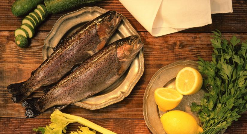 Borbás Marcsi legjobb halas receptjei