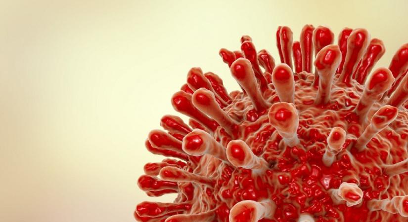 Sikeresek voltak a HIV-vírus sejtekből való eltávolításával kapcsolatos első kísérletek
