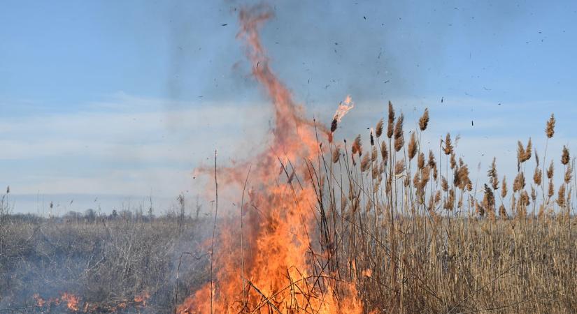 Több szabadtéri tűz keletkezett tegnap Szabolcs-Szatmár-Bereg vármegyében.