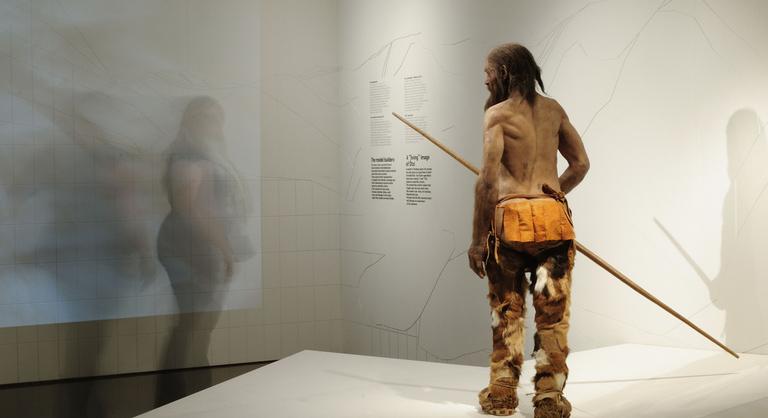 Kiderült, hogyan tetoválták Ötzi testét 5300 éve