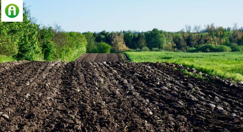 Elpazarolja a lehetőségeit a gazda, ha csak a talaj felszínét vizsgálja VIDEÓ