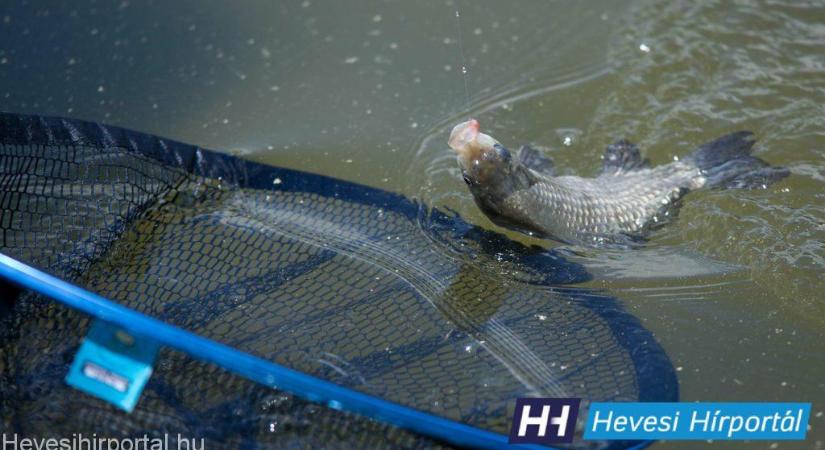 Horgászok harca: Ki lesz 2024-ben a Ho-ho-horgász?