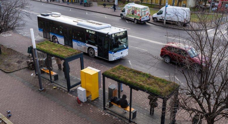 Pár guggolás egy buszjegyet érhet – Marosvásárhelyen lehet szavazni a legjobb ötletekre