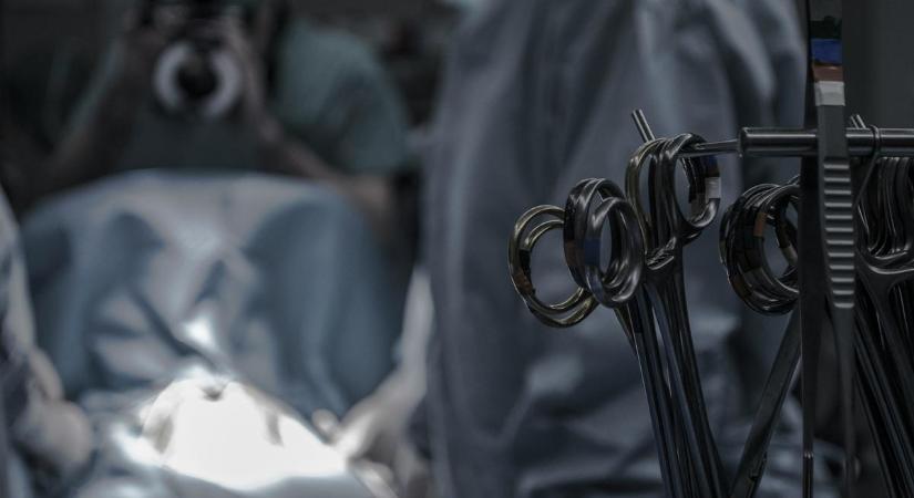 Mérföldkő: génmódosított sertések veséjét és máját ültették be sikeresen egy agyhalott férfi testébe