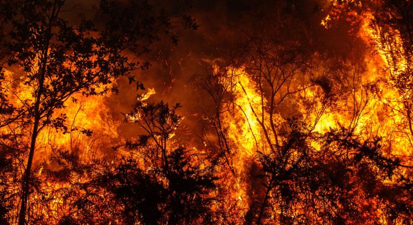 Tucatnyi erdőtűz ellen harcolnak, a lángok és a szél miatt tízezrek maradtak áram nélkül Amerikában