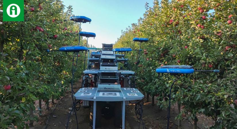 Van, ahol már repülő robotok szedik az almát, a barackot VIDEÓ