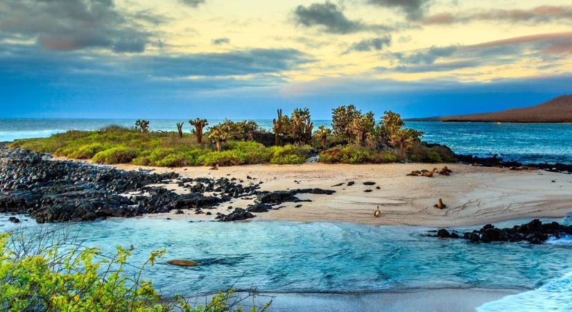 Duplájára emelkedik a belépő ára a Galápagos-szigetekre