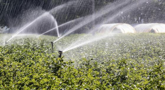 Átvállalja az állam az idei mezőgazdasági vízszolgáltatási díjat