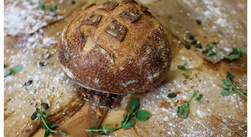 Nemzetközi versenyen lett aranyérmes a vadkovászos burgonyás kenyér