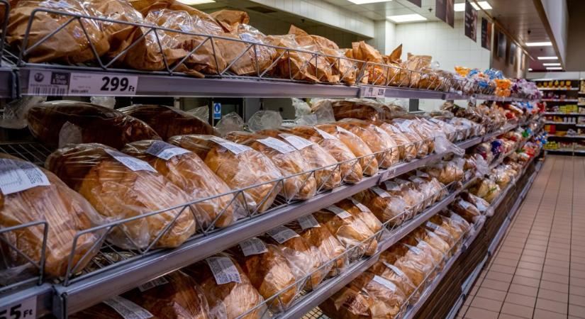 Hiába zuhan a búza ára, ezer forintba kerülhet a kenyér