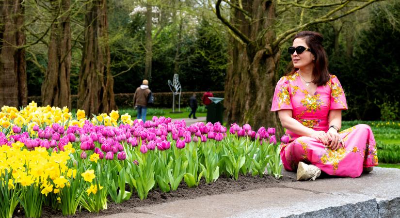 A világ legnagyobb tulipánkertje 75. évfordulóját ünnepli