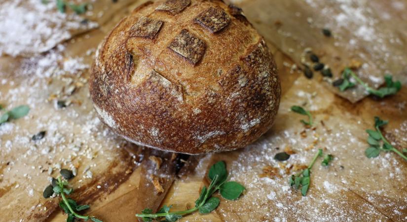 Aranyérmes lett a nemzetközi versenyen a magyar vadkovászos burgonyás kenyér
