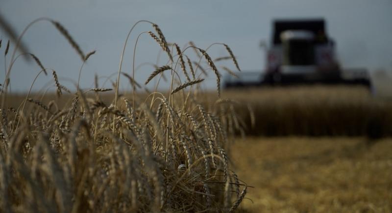 Az EU vámokkal fojtaná meg az orosz gabonaeladást