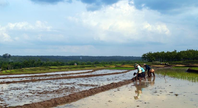 A vietnami gazdák az édesvízért küzdenek